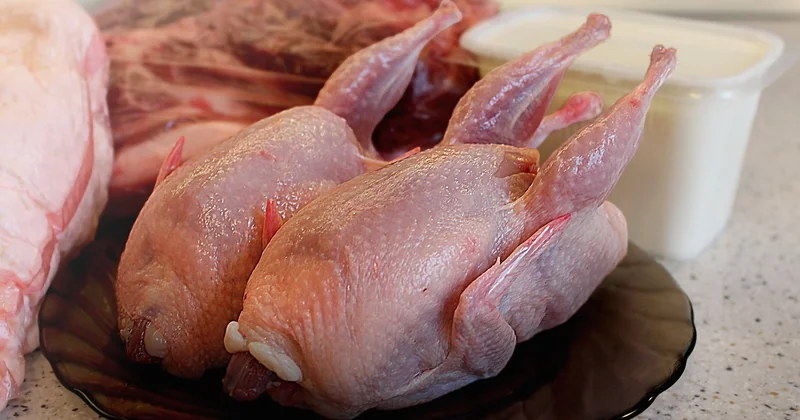 Côté pratique : bien choisir ses produits pour oiseaux chez Auchan