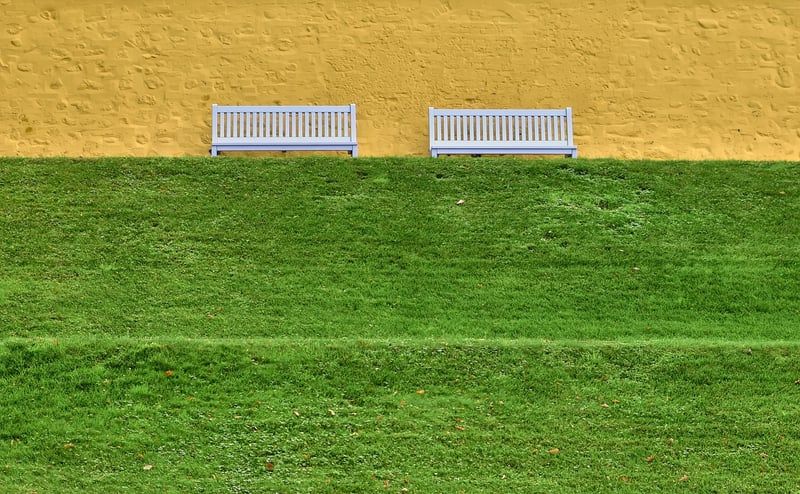 Découvrez l'organigramme Société Générale en 2026 et ses nouvelles dynamiques
